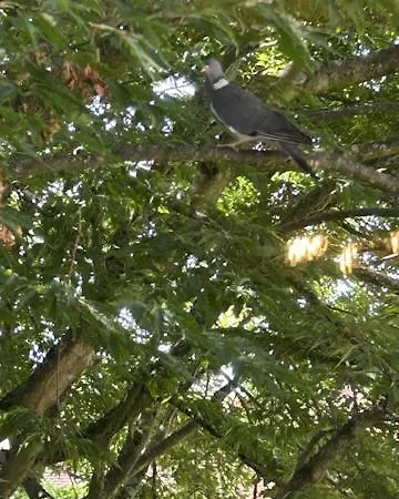 Voyage Colonial Climatise Chic * בווה