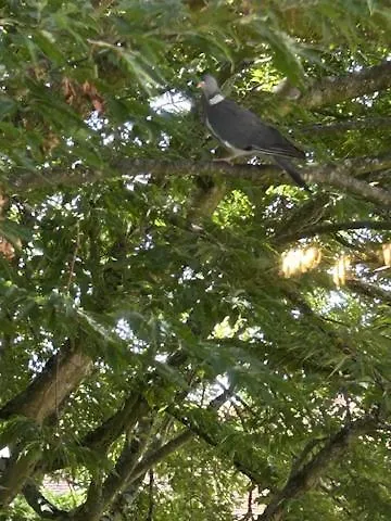 Voyage Colonial Climatise Chic * Beauvais